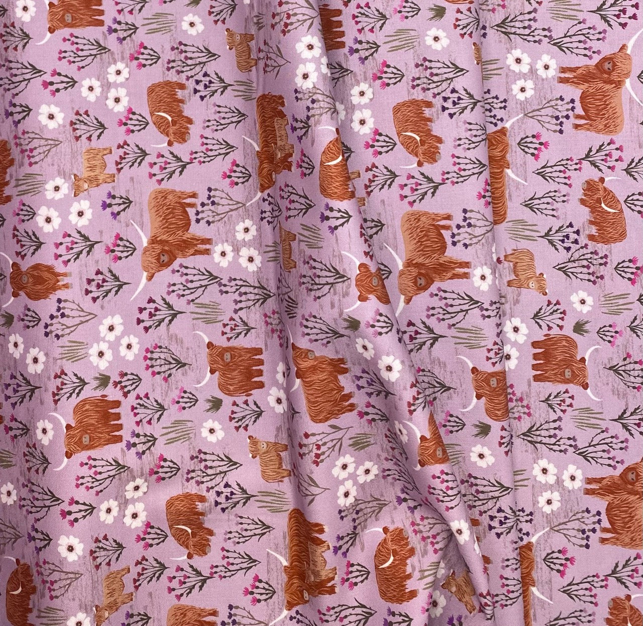 Summer meadow Highland on light heather