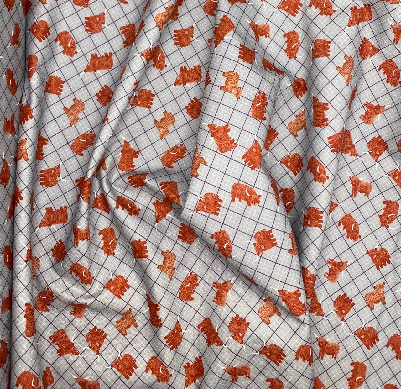 Highlands check blue