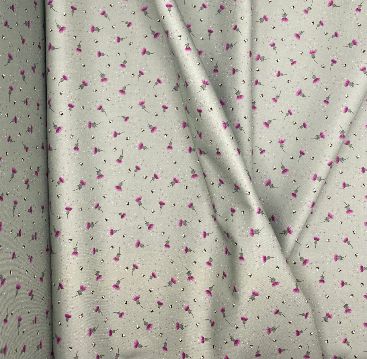 Bee thistle on sage green