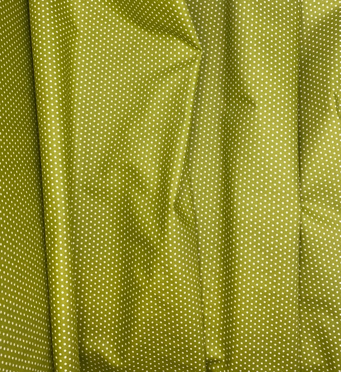 Dotty Dot Dots - Iguana