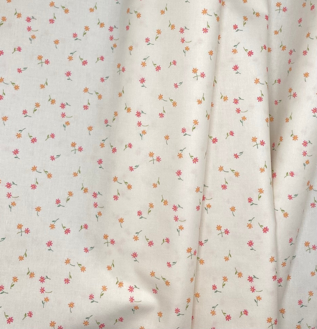 Fluttering Flowers on Dogwood