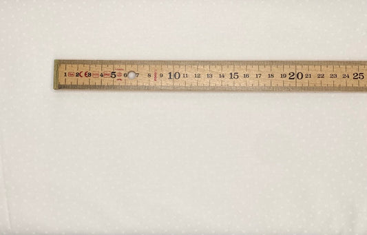 Coriander Seeds - white