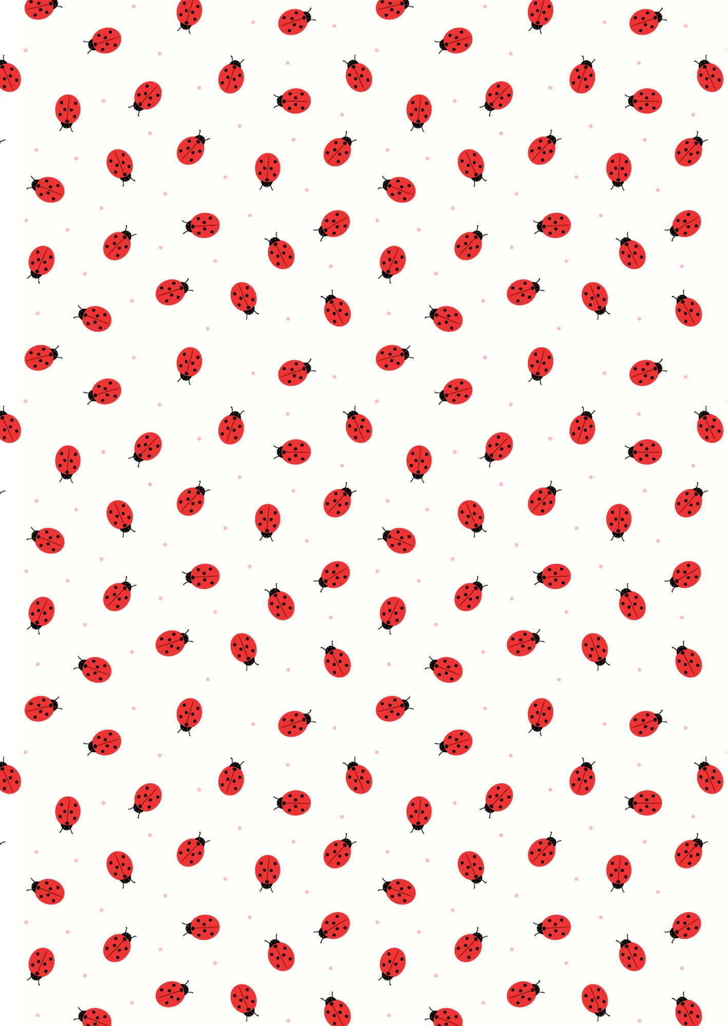 Small things ladybirds