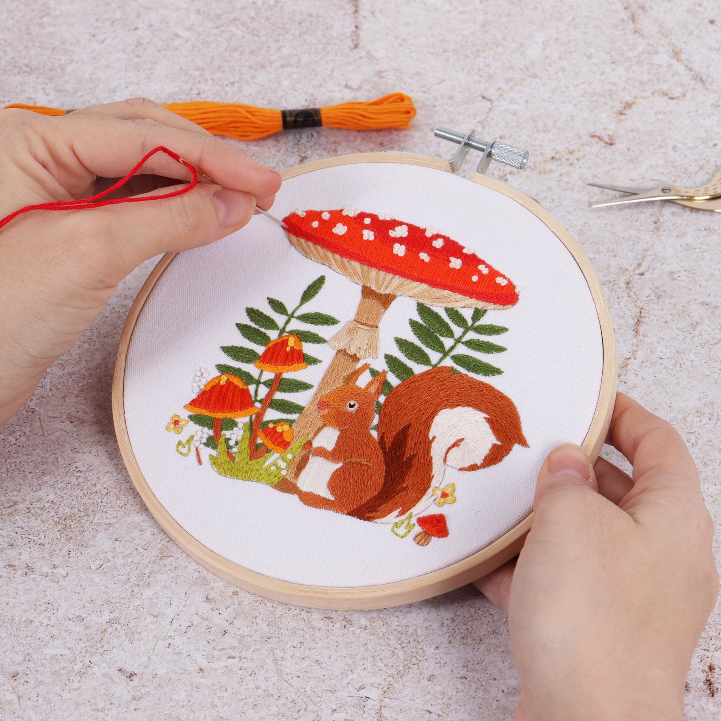 Embroidery Kit: Toadstool Squirrel