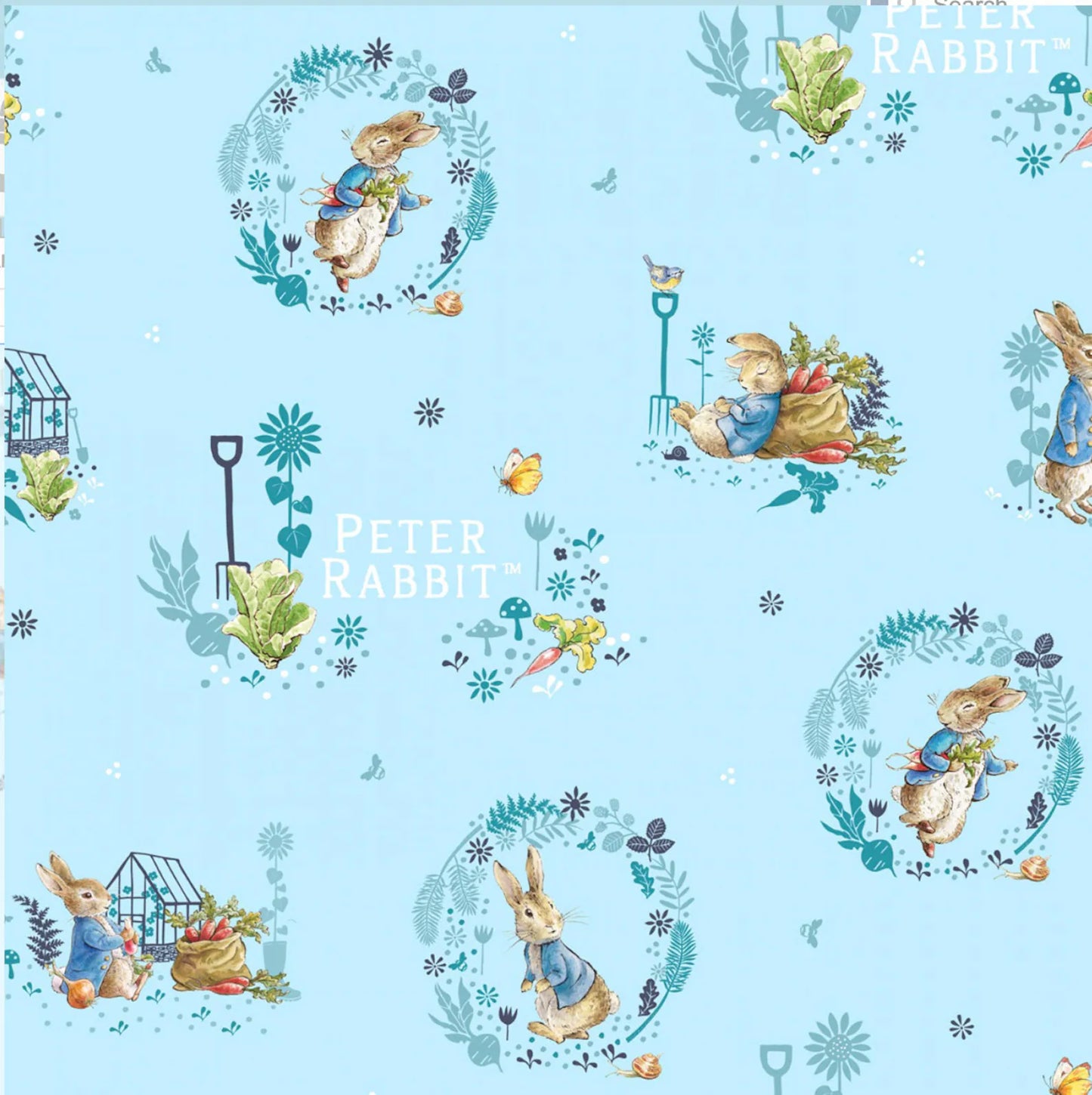 Greenhouse - Peter Rabbit