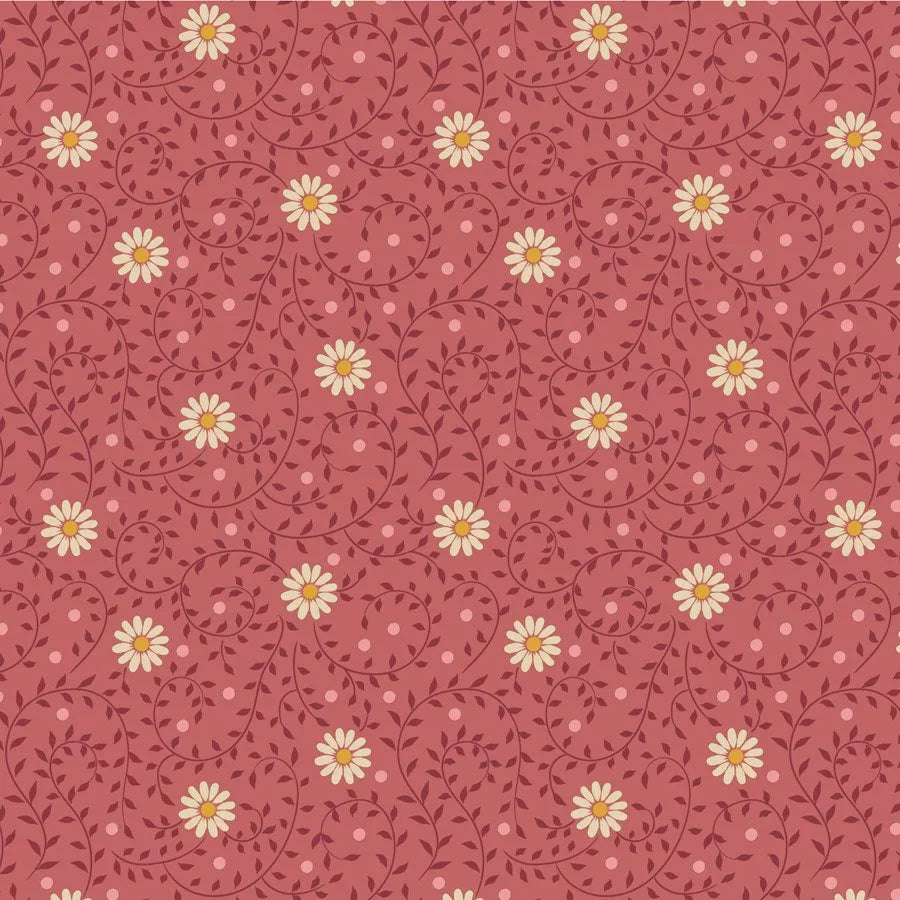 Daisy Dream - Rhubarb