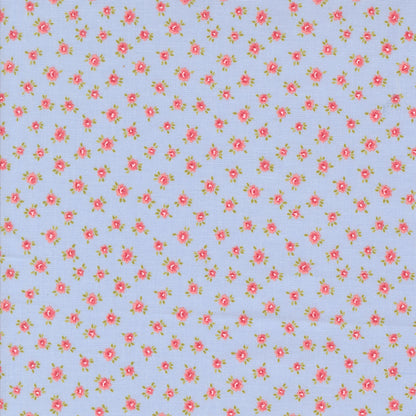 Small Posies - Sky