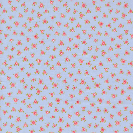 Small Posies - Sky