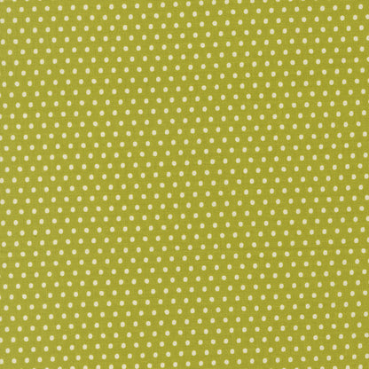 Dotty Dot Dots - Iguana