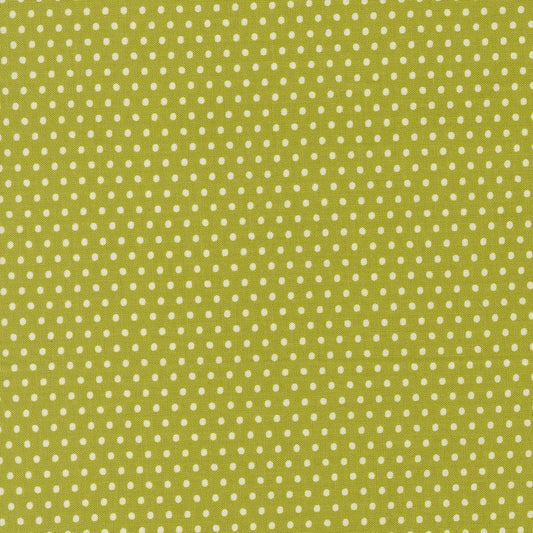 Dotty Dot Dots - Iguana