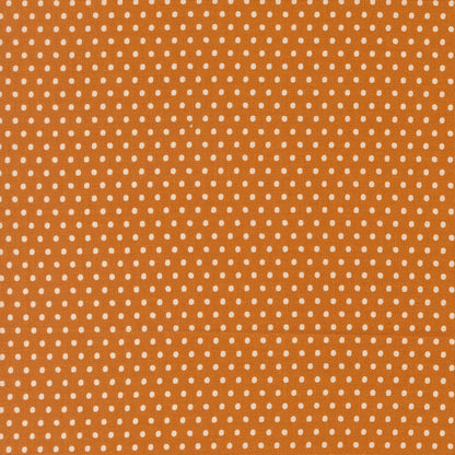 Dotty Dot Dots - Tiger