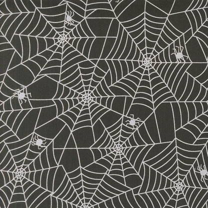 Spider Webs