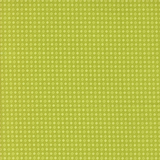 Little check - Green
