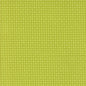 Little check - Green