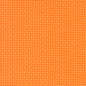 Little Check - Orange