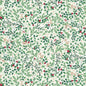 Evergreen - Cream