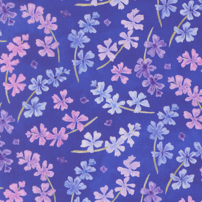 Lilac Florals - Agapanthus