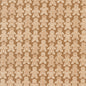 Gingerbread Dance - cocoa