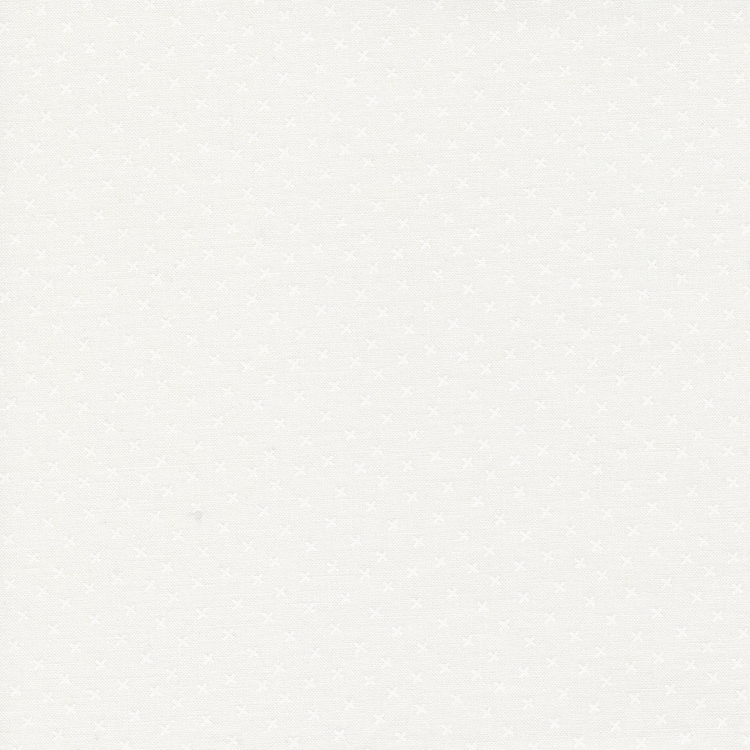 Coriander Seeds - white