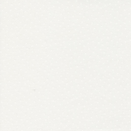 Coriander Seeds - white