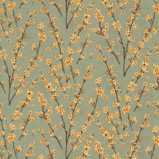 Yellow Blossom