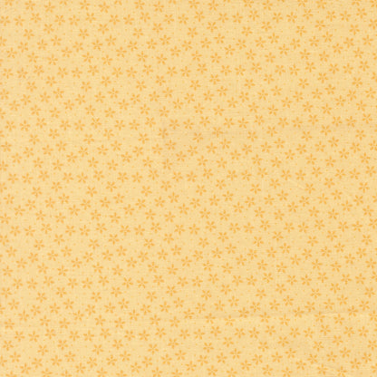 Colander Flower - sunshine