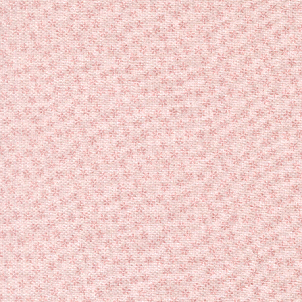 Colander Flower - Demure