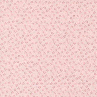 Colander Flower - Demure