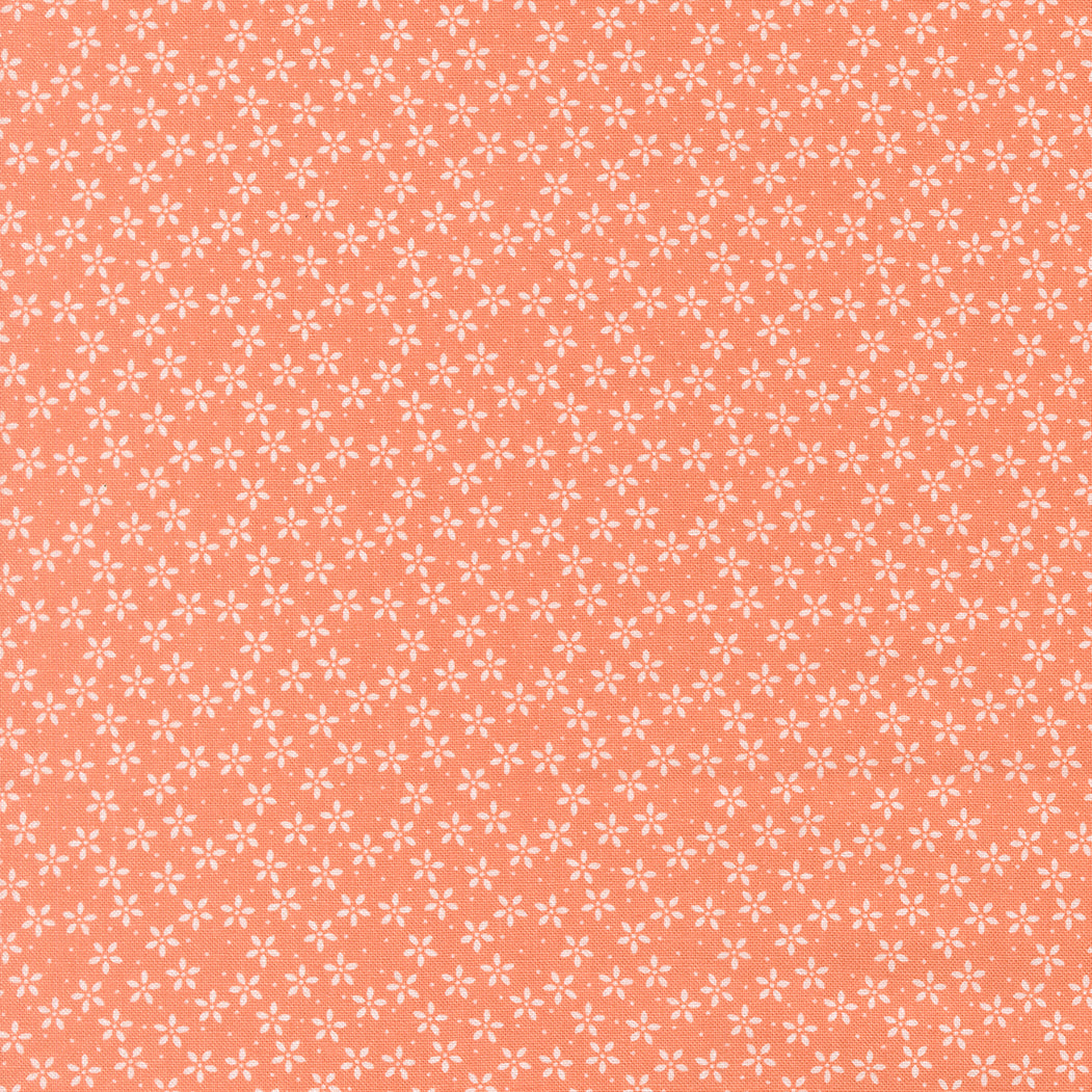 Colander Flower - Coral