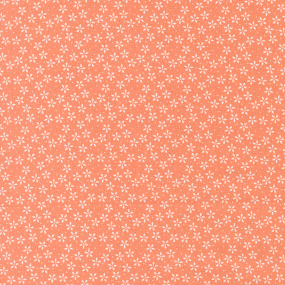 Colander Flower - Coral