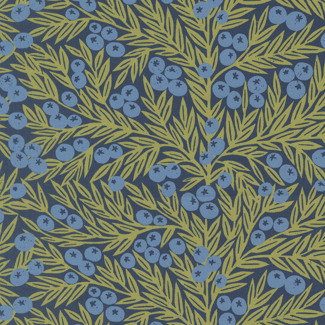 Blueberries on Dark Blue