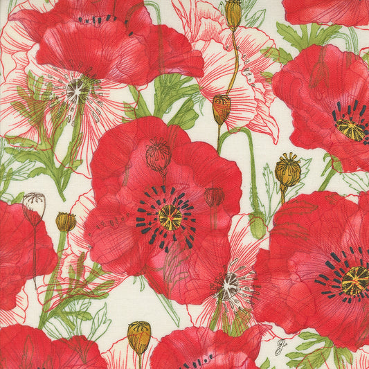 Poppies