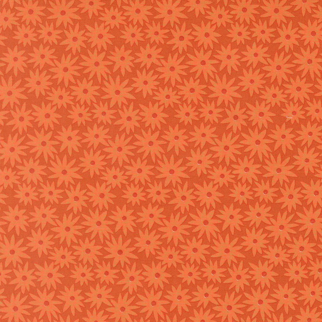 Sedum - Rusty