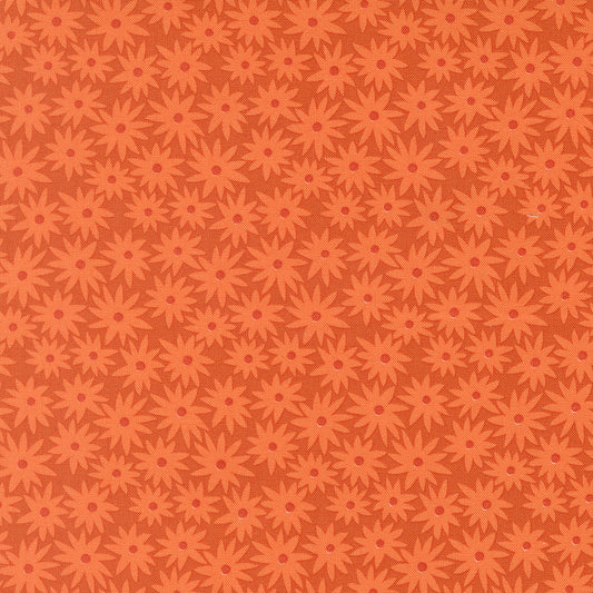 Sedum - Rusty