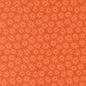 Sedum - Rusty