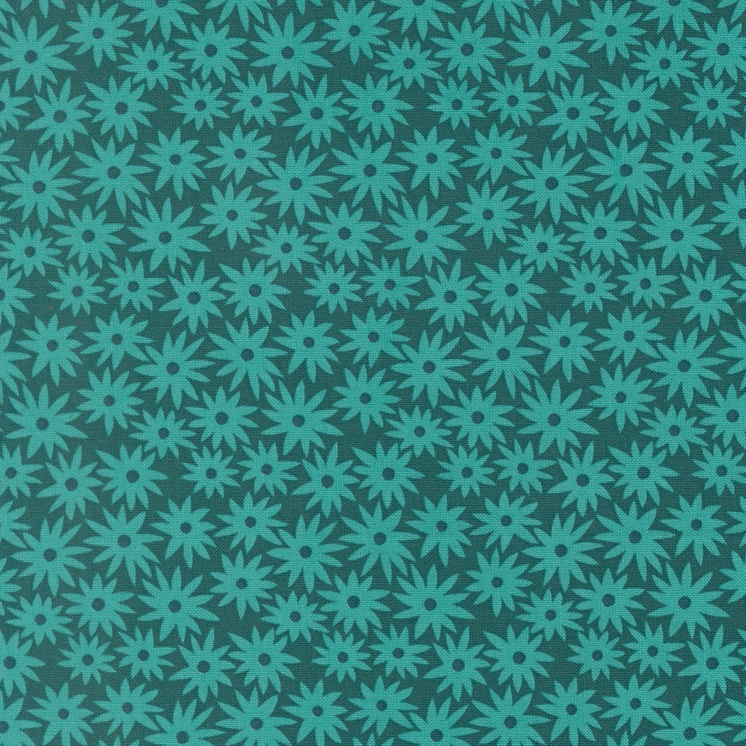 Sedum - Dark Teal