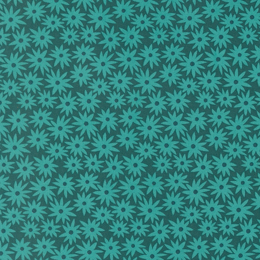 Sedum - Dark Teal