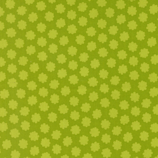 Puffball - Lime