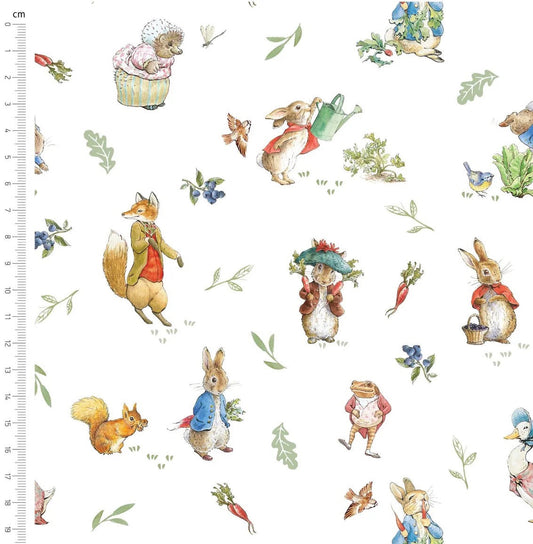 Peter Rabbit Character's