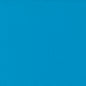 Bright Turquoise - Bella Solid
