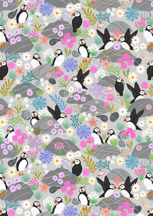 Puffin Rock puffins on light rock