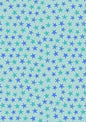 Aqua starfish on sea green