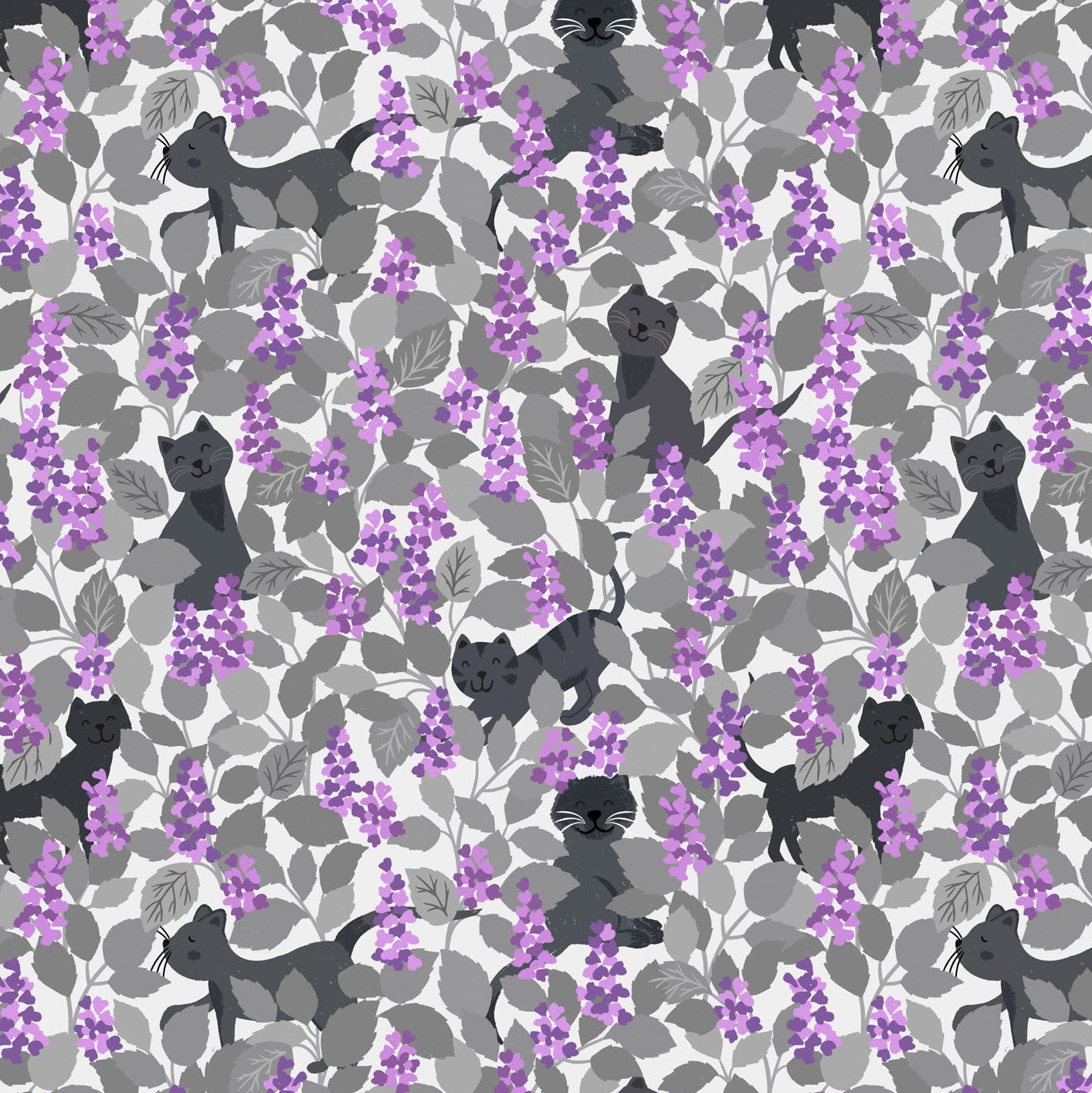 Catnip grey and purples