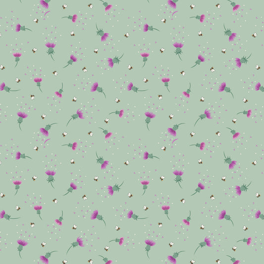 Bee thistle on sage green