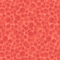 Polynesian coral - Bumbleberries
