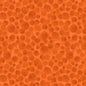 Brazilian Orange - Bumbleberries