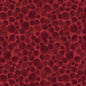 Dark Red - Bumbleberries