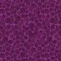Royal Purple - Bumbleberries