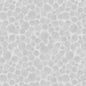 Light Grey - Bumbleberries