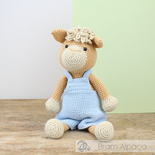 Bram the Alpaca - Crochet Kit